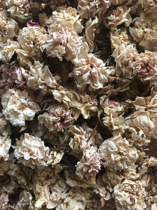 Dried Mini Roses
